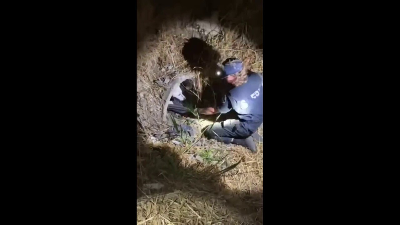 Deputy crawls into culvert in Washington to save dog hit by car