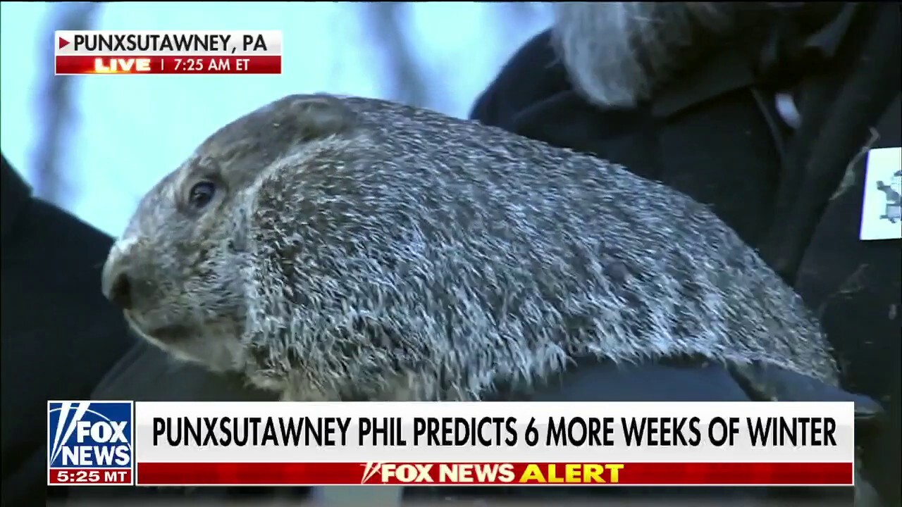 Punxsutawney Phil predicts six more weeks of winter