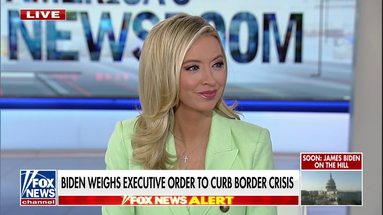 Kayleigh McEnany: Trump 'nullifies' critics when he addresses key issues outside of the courtroom