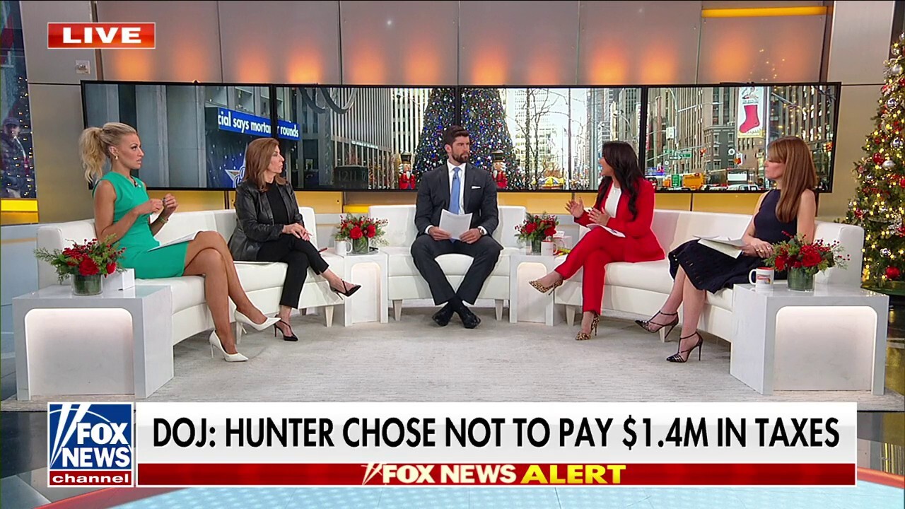 Hunter Biden indicted on new tax charges: Spent money on 'everything but his taxes'