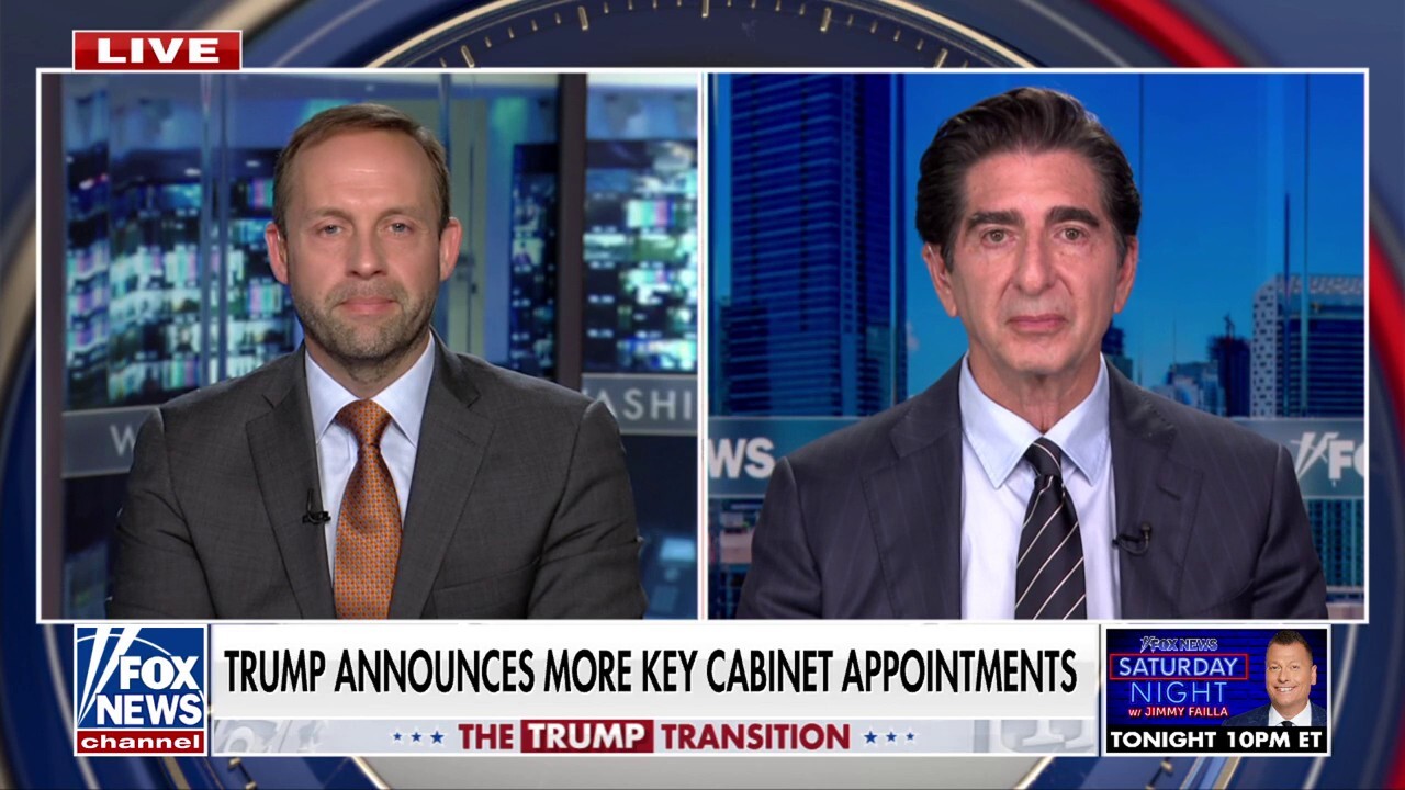 Republican, Democratic strategist agree Trump has made 'great' Cabinet nominations for 'all Americans'