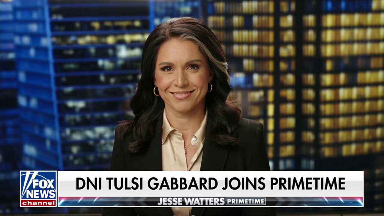 Tulsi Gabbard takes action against NSA employees who committed an ‘egregious violation of trust’