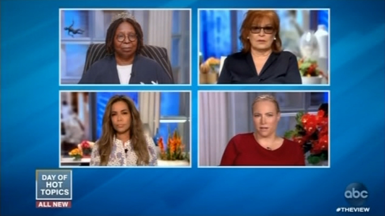 Meghan McCain scolds Joy Behar for claiming Republicans don't care about education: 'Aggressive and incendiary'