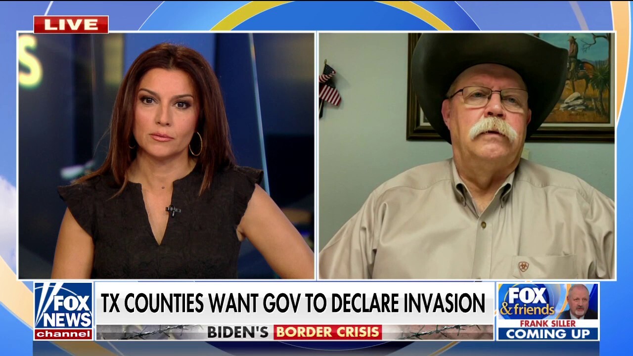 Texas sheriff on border crisis: Feels like Texas is 'being punished' for supporting Trump