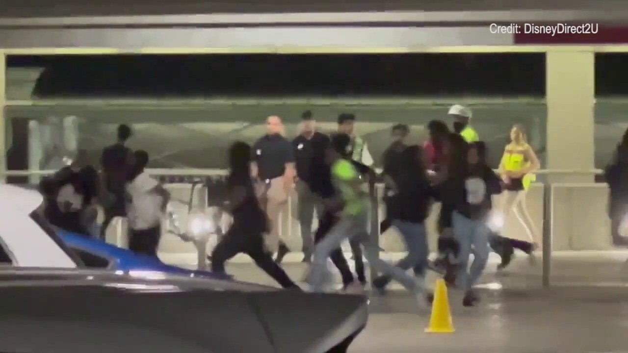 Juvenile fight breaks out in Universal Studios Orlando parking garage