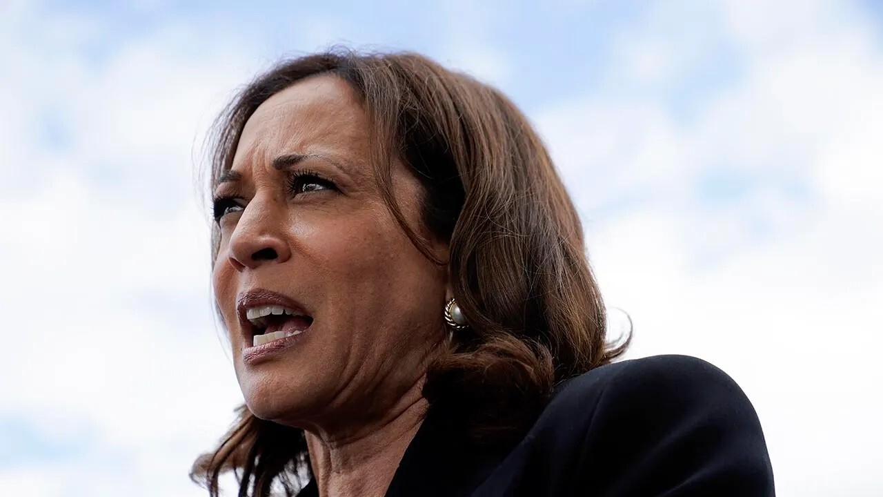 Kamala Harris hasn't done anything to protect the border: Former Bush chief of staff