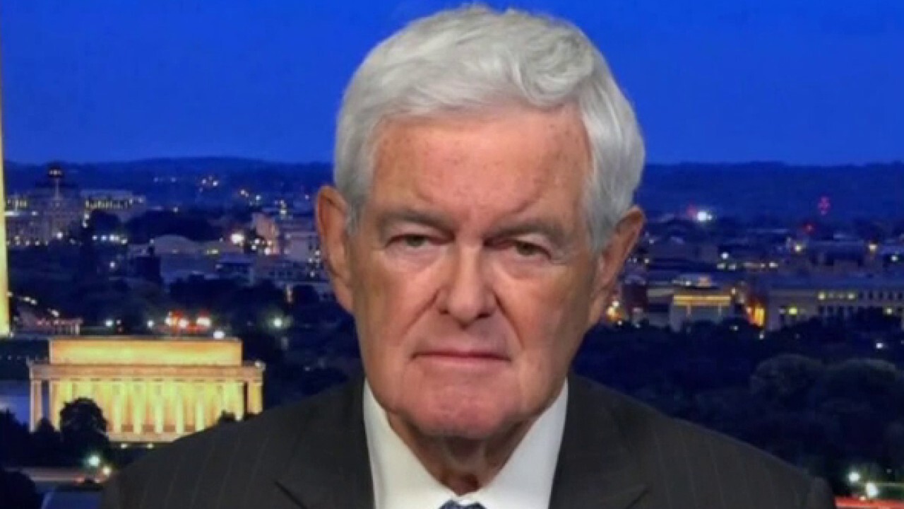 Gingrich: Biden worldview seems to be 'attack your allies, ignore your enemies'