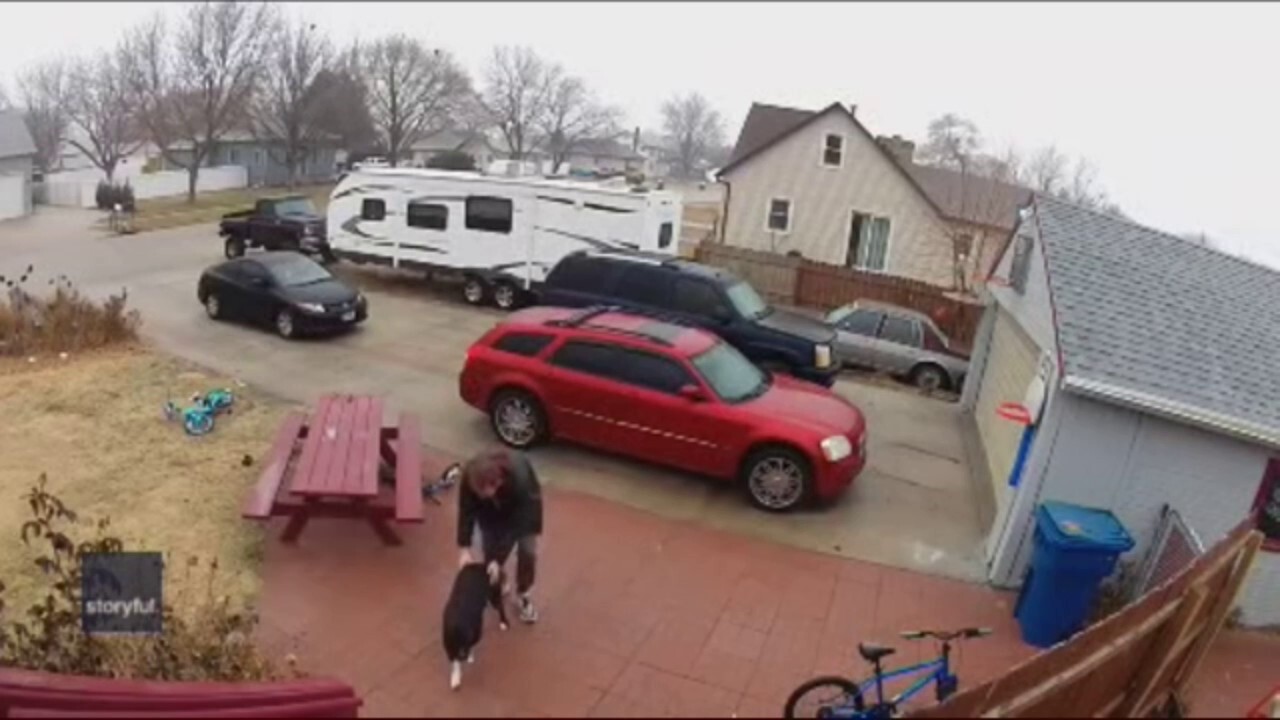 Nebraska pit bull helps owner walk across icy path