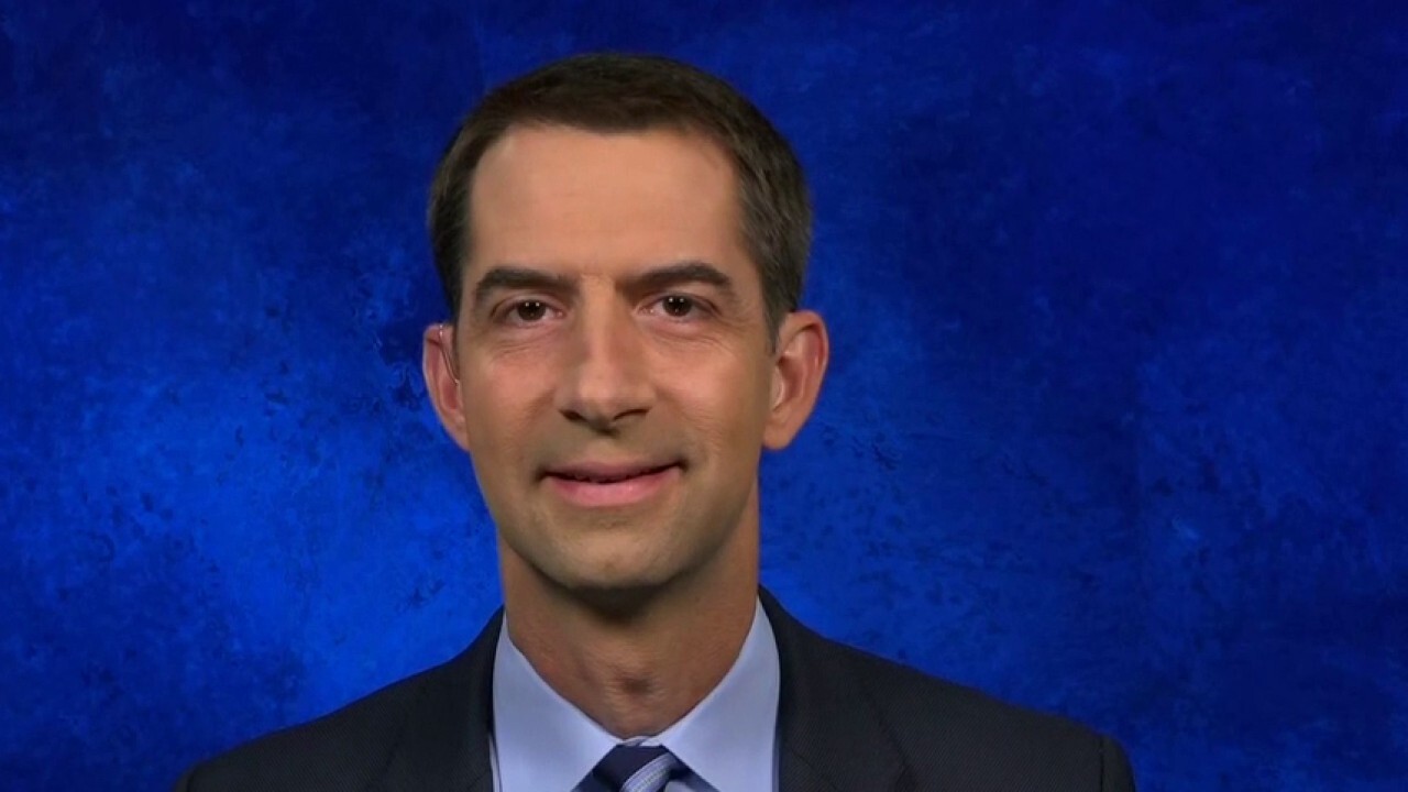 Cotton insists Senate will 'move forward without delay' on Trump SCOTUS nominee