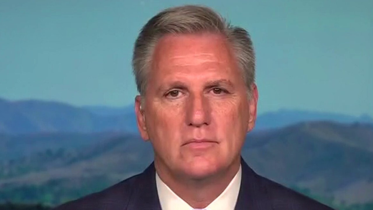 House Minority Leader Kevin McCarthy on priorities for new session 