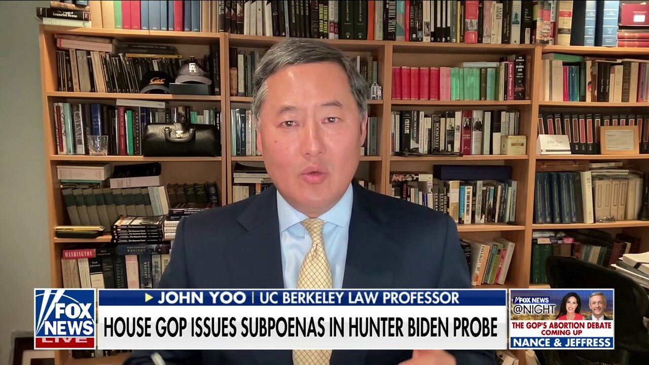 What was Hunter and his dad up to?: John Yoo