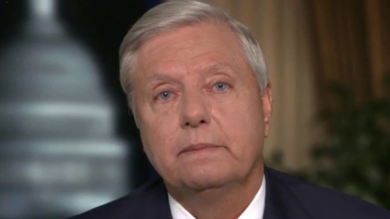 Sen. Graham on crucial Georgia runoffs that will determine control of US Senate 