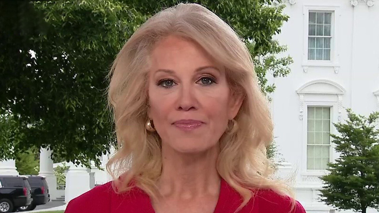 Kellyanne Conway: Urging governors to consider mental health in reopening plan