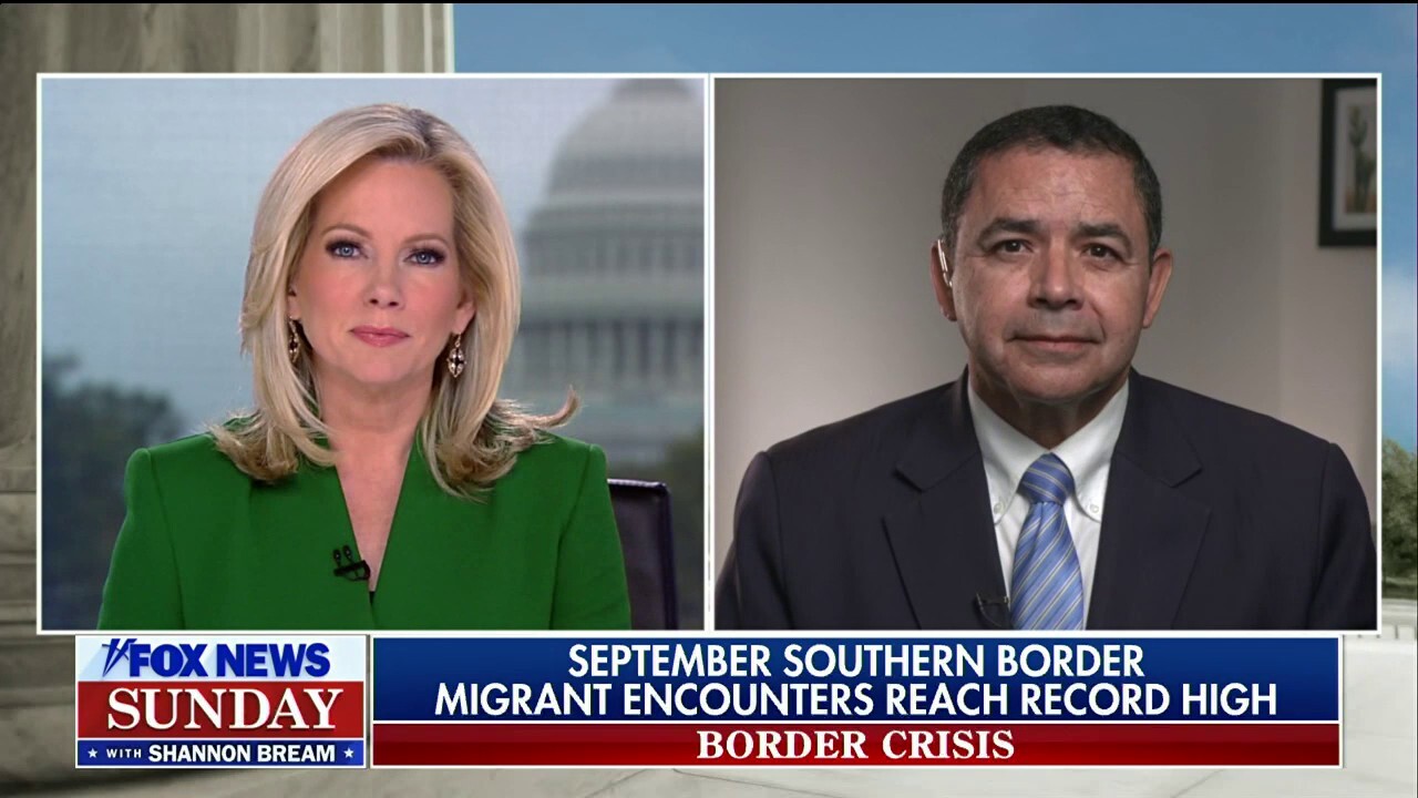 Democrat defies VP Harris on border claim: 'The border is not secure'