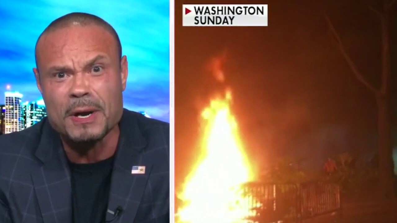 Dan Bongino: Antifa led 'sophisticated' attack on White House, this is an 'insurrection'