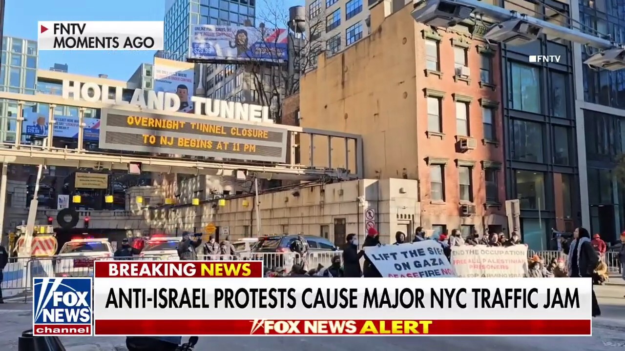 Сюзън Сарандън се присъединява към пропалестински протест в Ню Йорк, който блокира мостове, тунел; над 100 арестувани