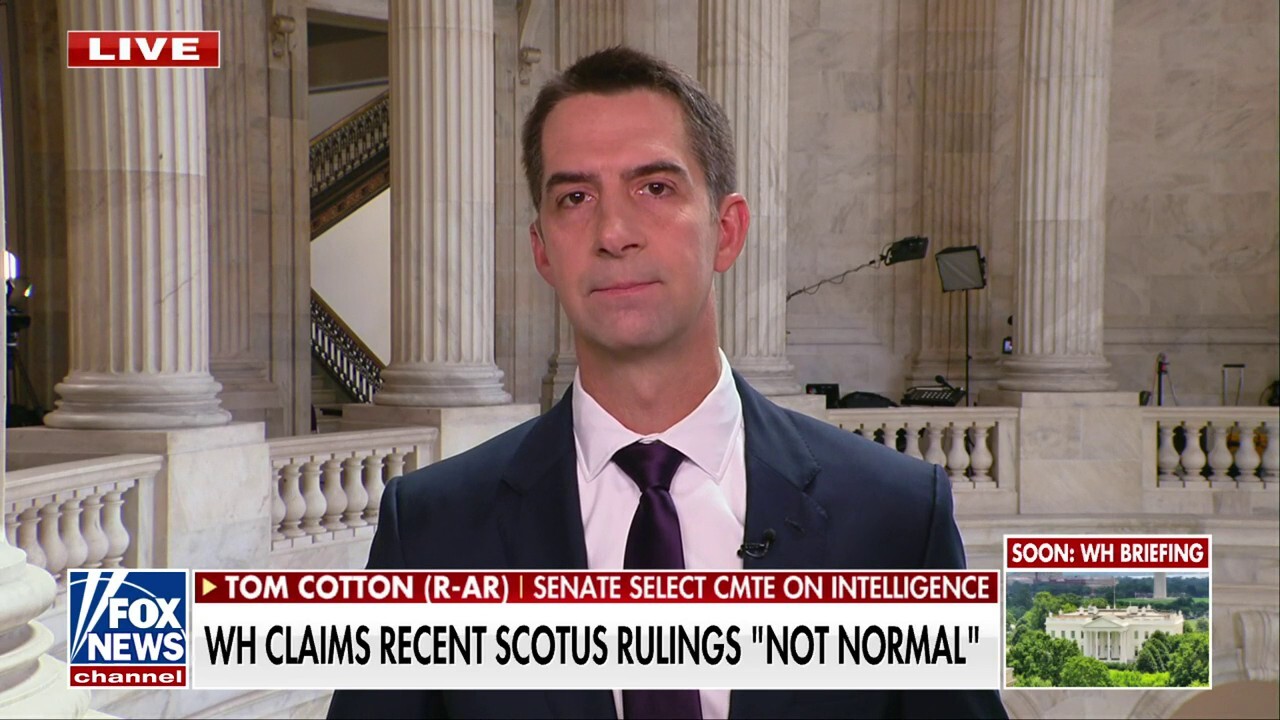 Tom Cotton: This is 'pathetic weakness' from Secretary Blinken