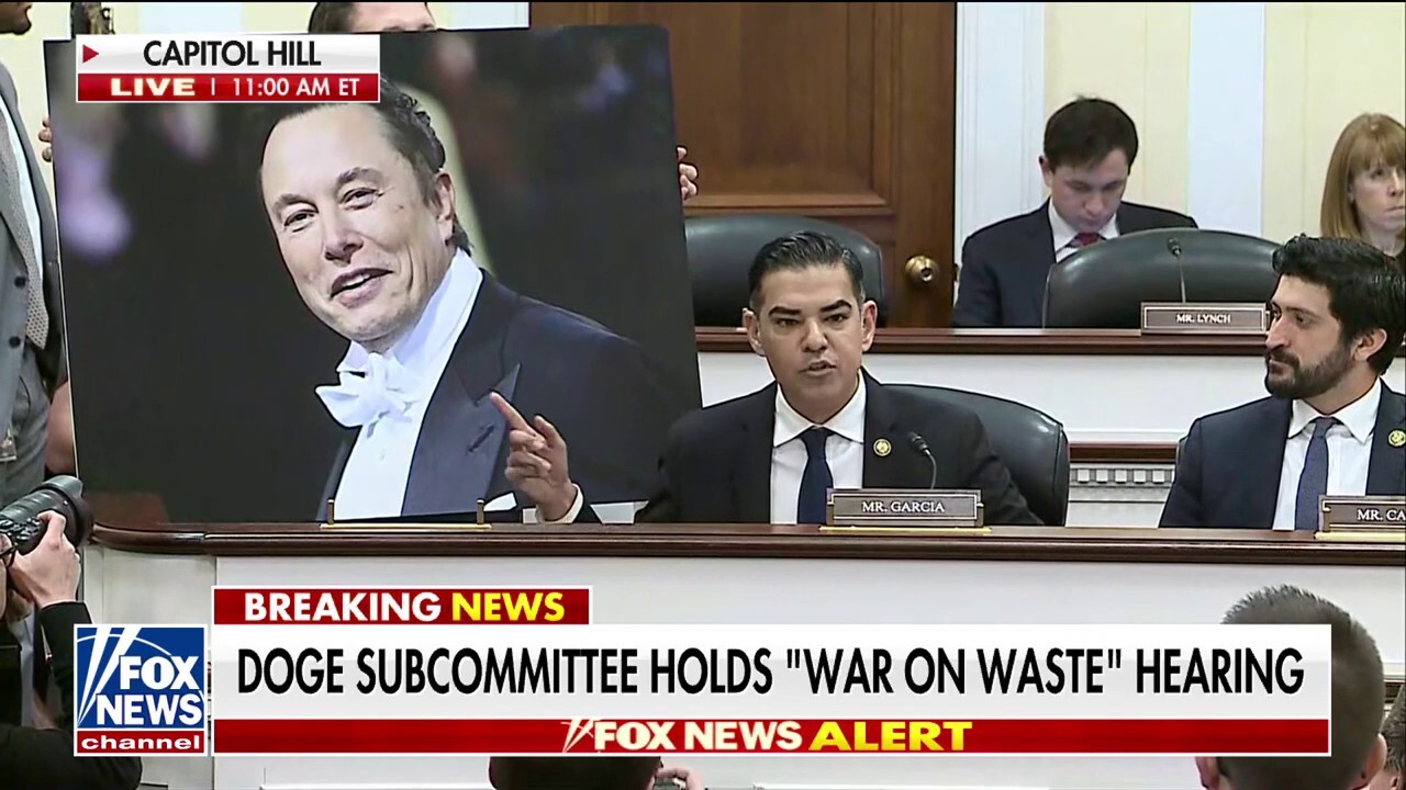 California Democrat slams Elon Musk as a 'd***' at House hearing