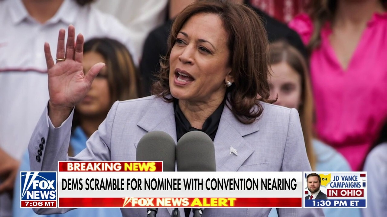 Democrat support for Harris grows ahead of DNC meeting on picking nominee