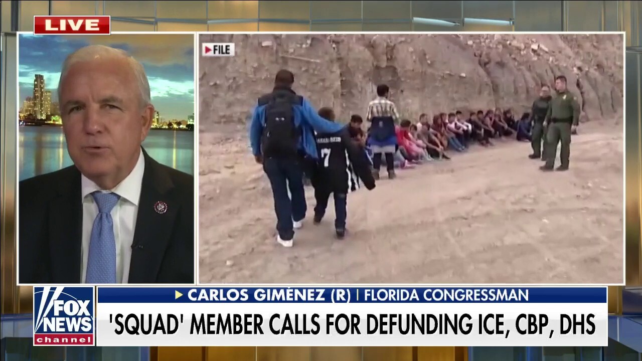 Rep. Gimenez blasts members of 'the Squad' on push for open borders: 'Ideology comes first, reality comes second'