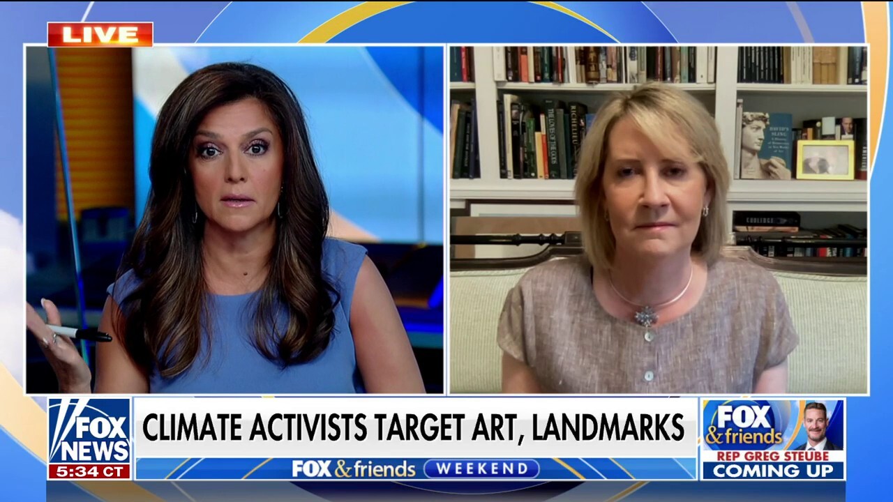 Climate activists targeting art and landmarks are ‘modern-day vandals’: Victoria Coates