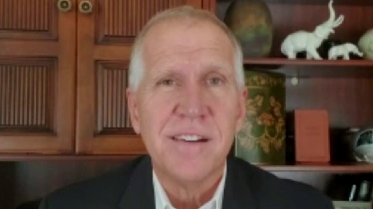 Sen. Thom Tillis on why North Carolina is crucial in 2020 race 