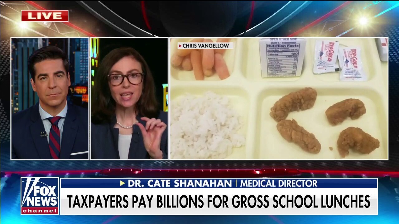 Nutrition expert on how 'junk food' school lunches harm children's health