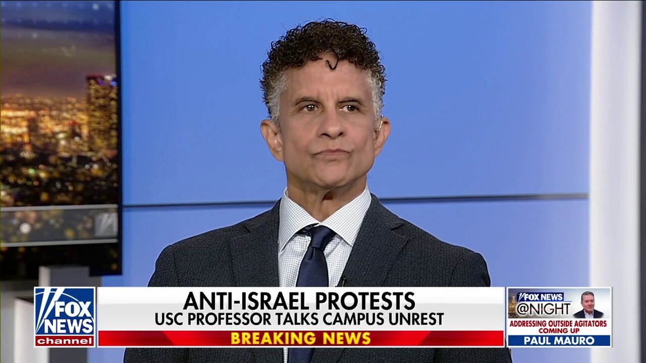 Police are supposed to make sure violence doesn’t break out: USC professor