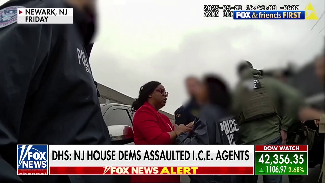 Democrat lawmakers in hot water after allegedly storming ICE center
