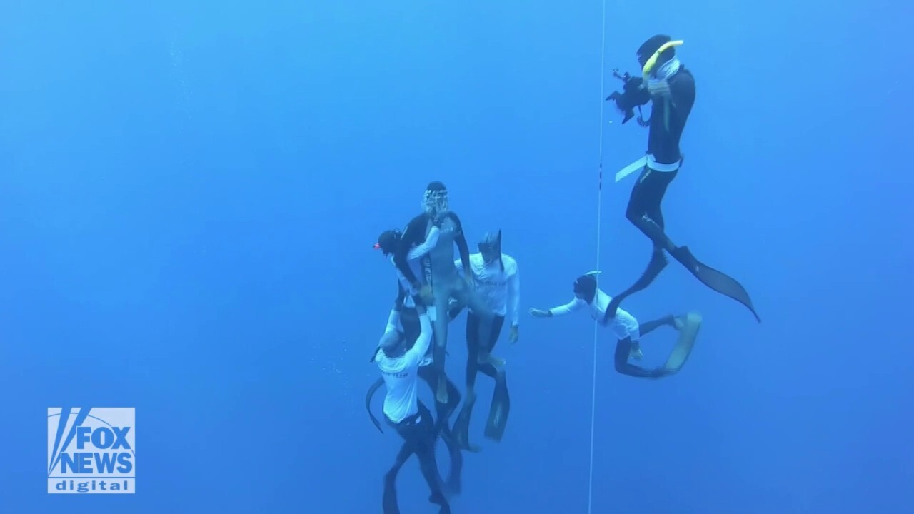 man diving underwater