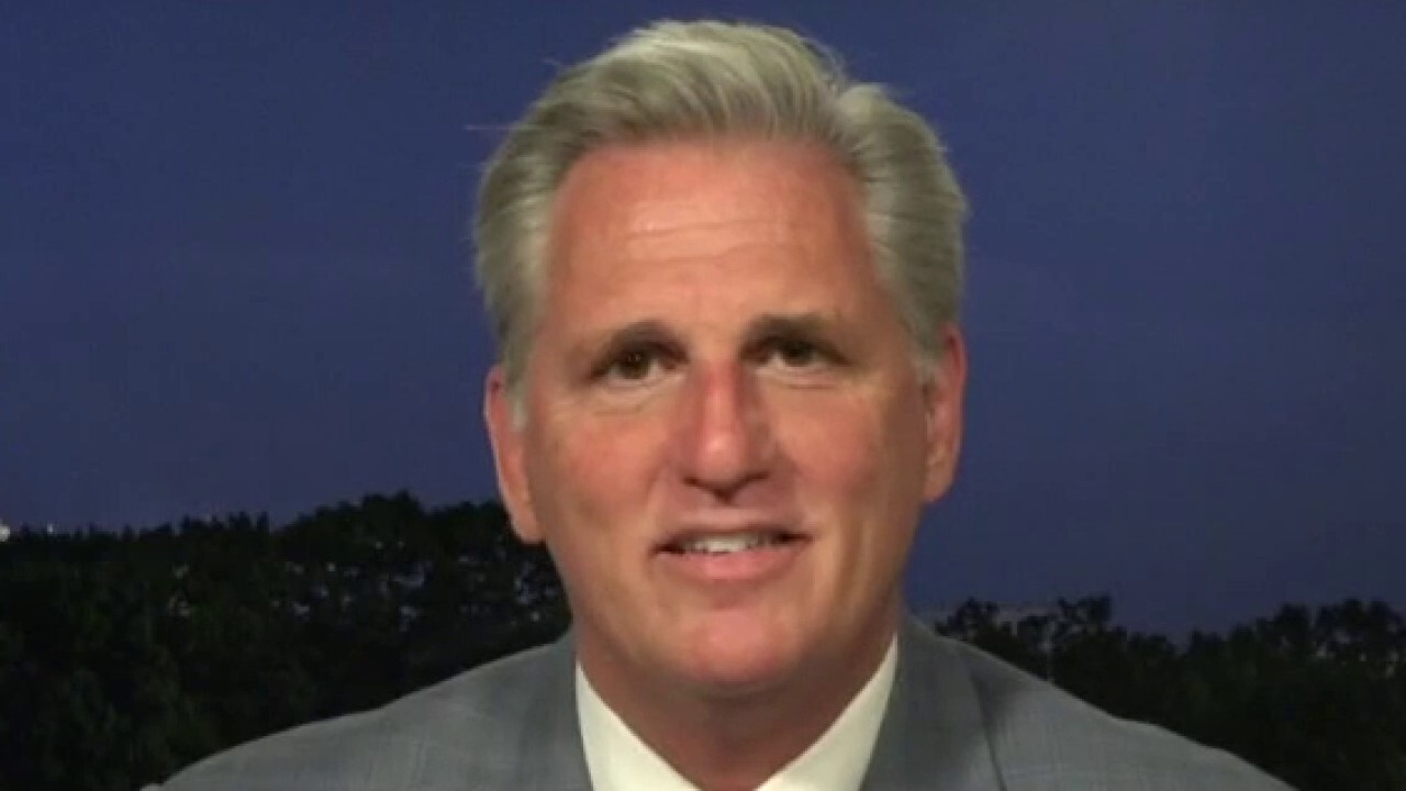 Democrats should be 'embarrassed' of socialist 'embrace': Rep. McCarthy