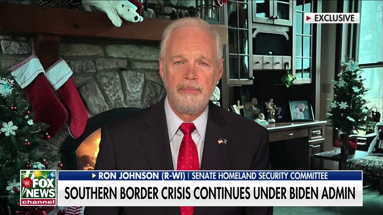 Dems are trying to fix the border because it’s a ‘threat’ to Biden’s re-election: Sen. Ron Johnson