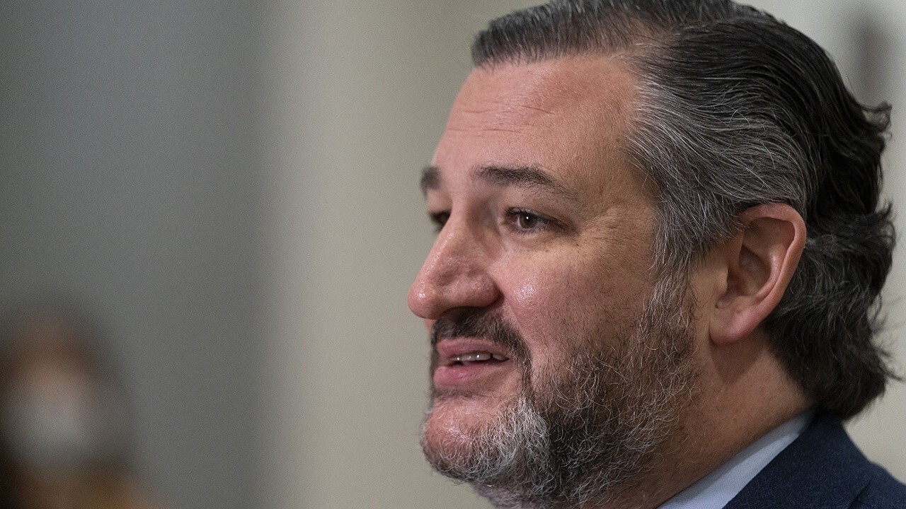 Sen. Ted Cruz: Biden 'does not care' that illegal immigrants are carrying COVID