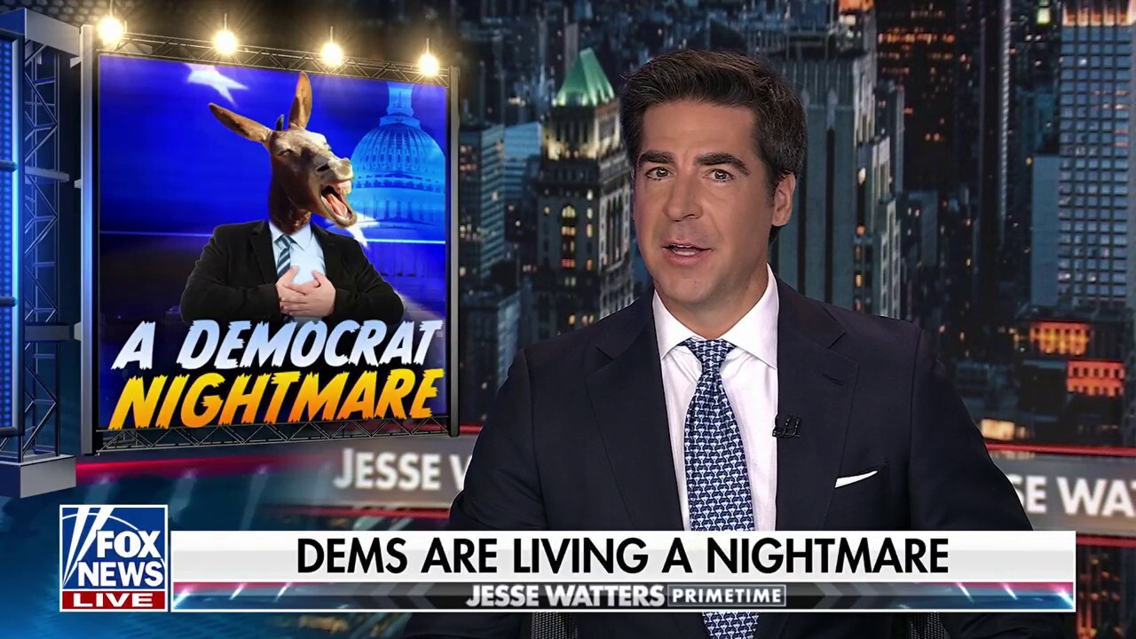 Dems aren’t just protesting Trump, they’re protesting each other, says Watters