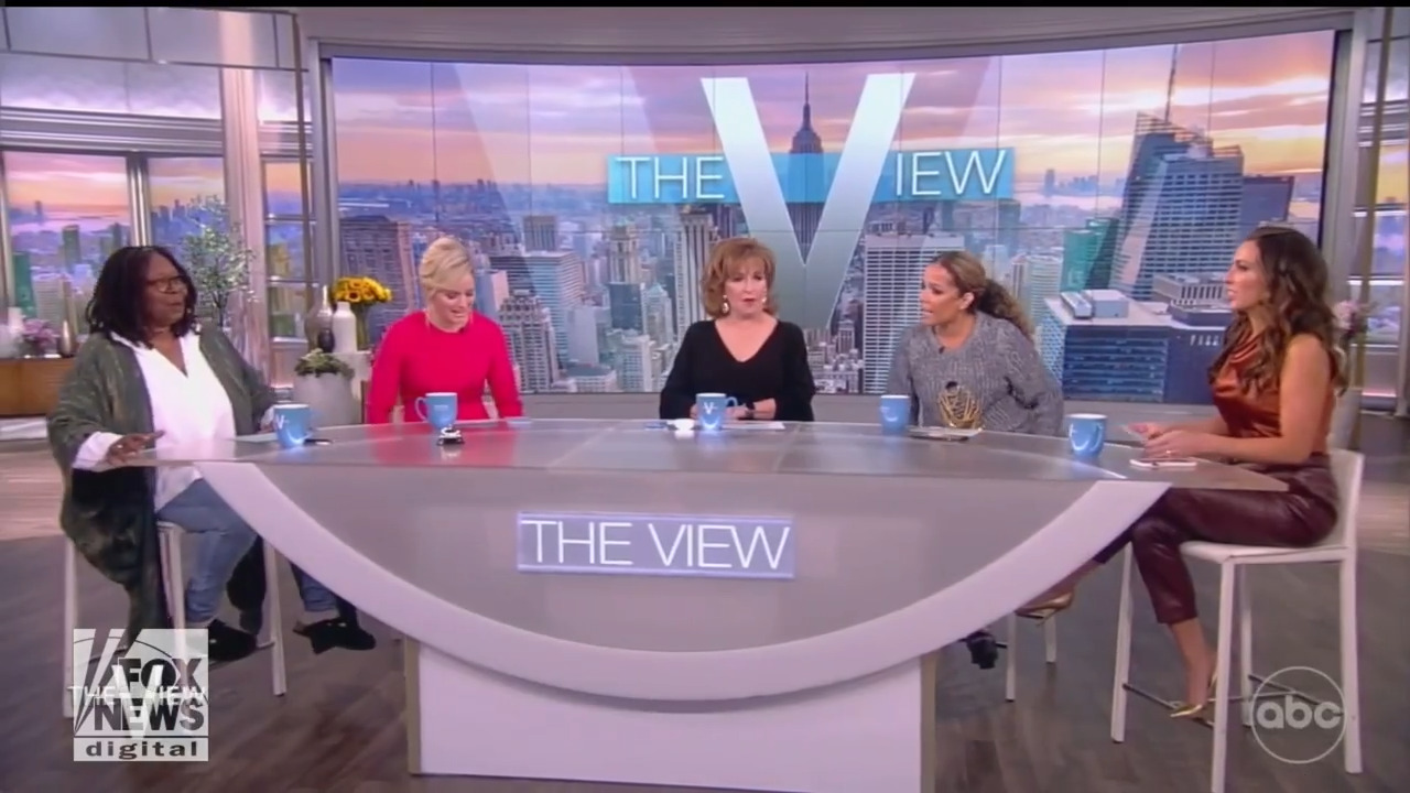 ‘The View’ blasts Governor Ron DeSantis on climate change as Hurricane ...