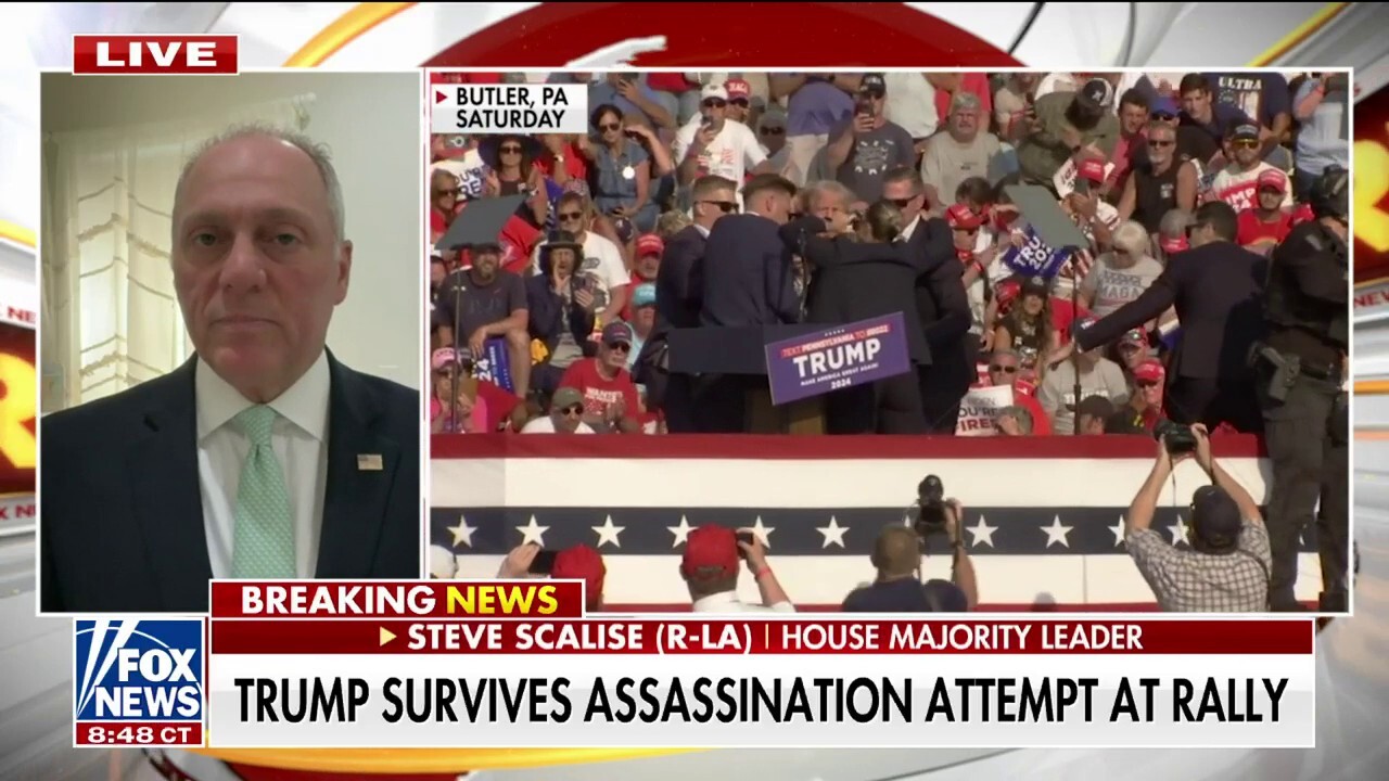 The left’s rhetoric ‘charged the shooter’: Steve Scalise