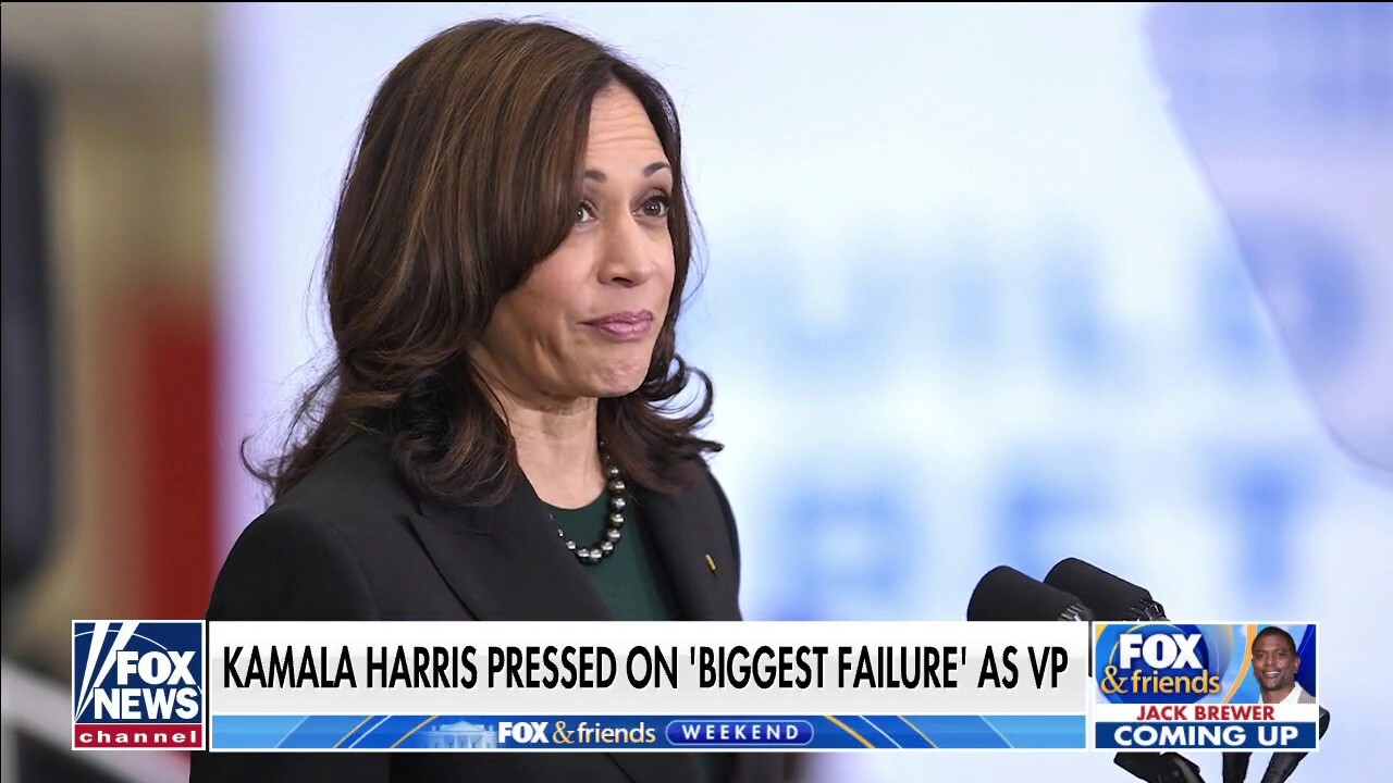 Tammy Bruce: Kamala Harris citing lack of travel as biggest failure signals 'chaos' in White House