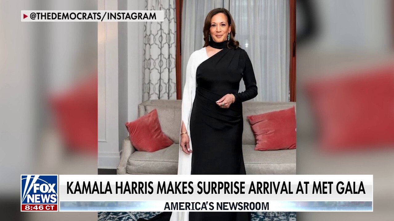 Kamala Harris called out for Met Gala 'word salad' connecting art, politics