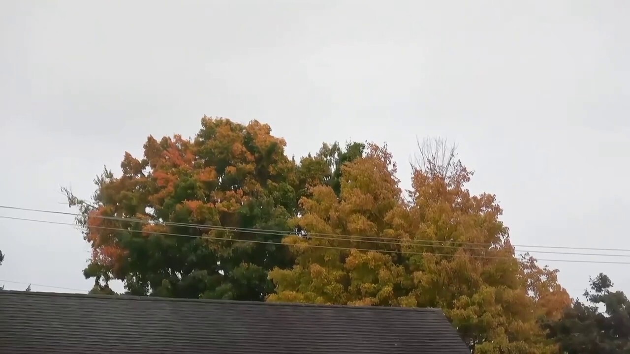 Colorful leaves seen throughout parts of New Jersey ahead of the first official day of fall