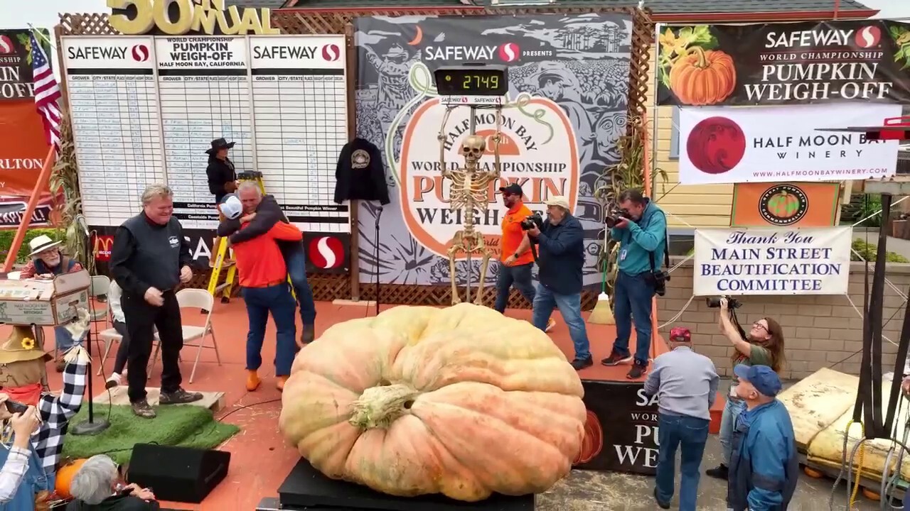 Massive pumpkin set to claim new world record in California
