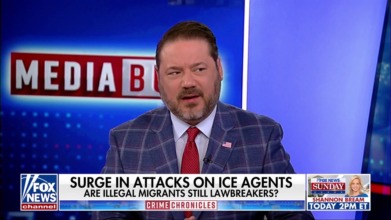Democrats, media accused of 'encouraging' attacks against ICE: 'Heinous'