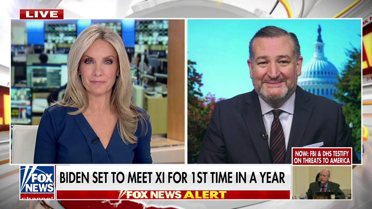 Sen. Ted Cruz addresses antisemitism on college campuses: 'This is the Wuhan lab of the woke virus'