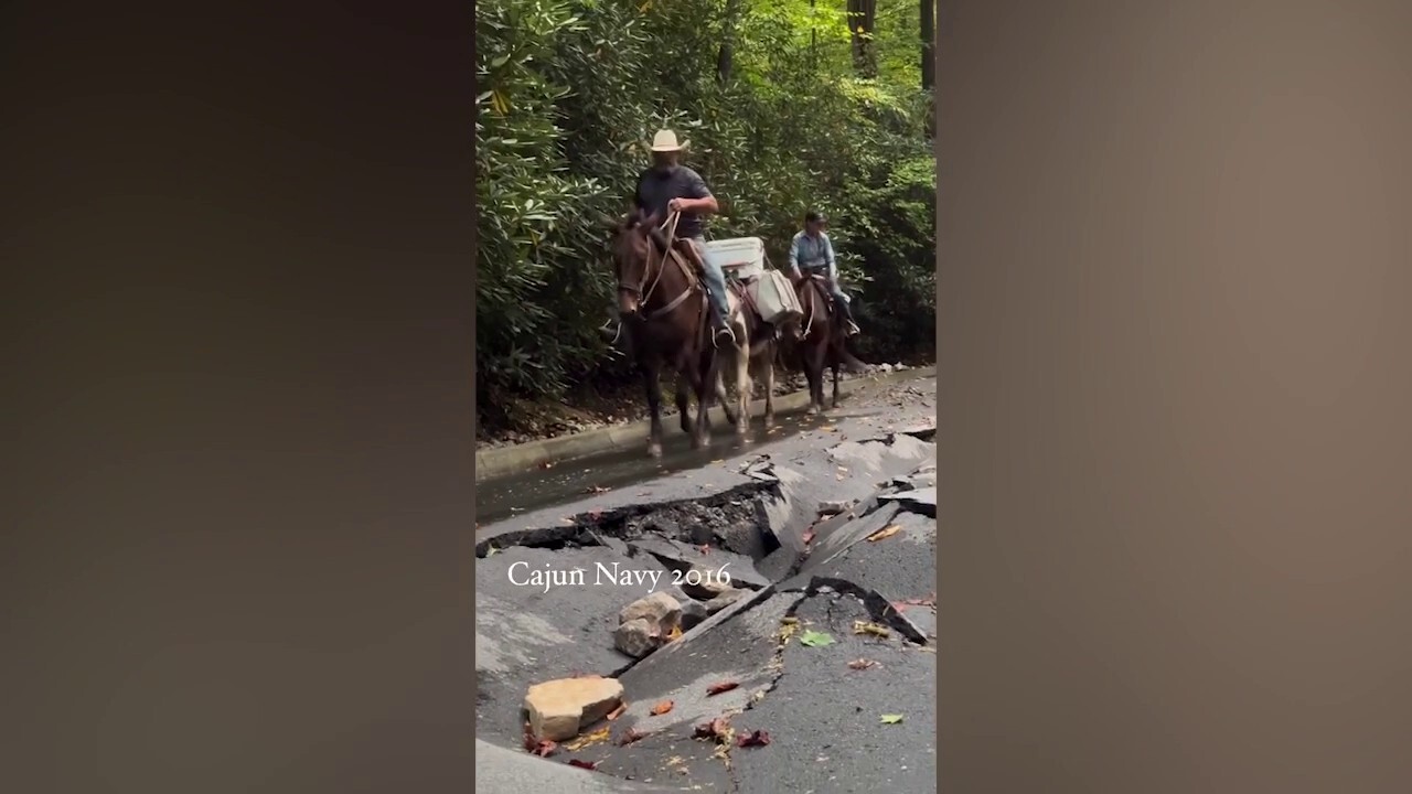 Mules help deliver supplies to communities in need in North Carolina