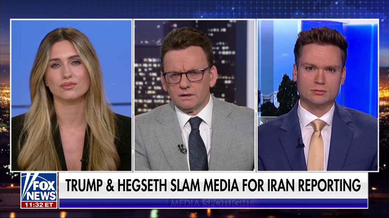 Left-wing journalists are ‘seething at the teeth’ to say bad anything about Trump, Emily Wilson says