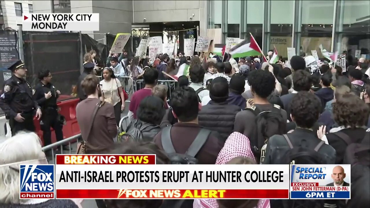 Hunter College student Gideon Askowitz on what he has heard on campus and says ideology taught at schools to hate America and Israel plays a role in these protests