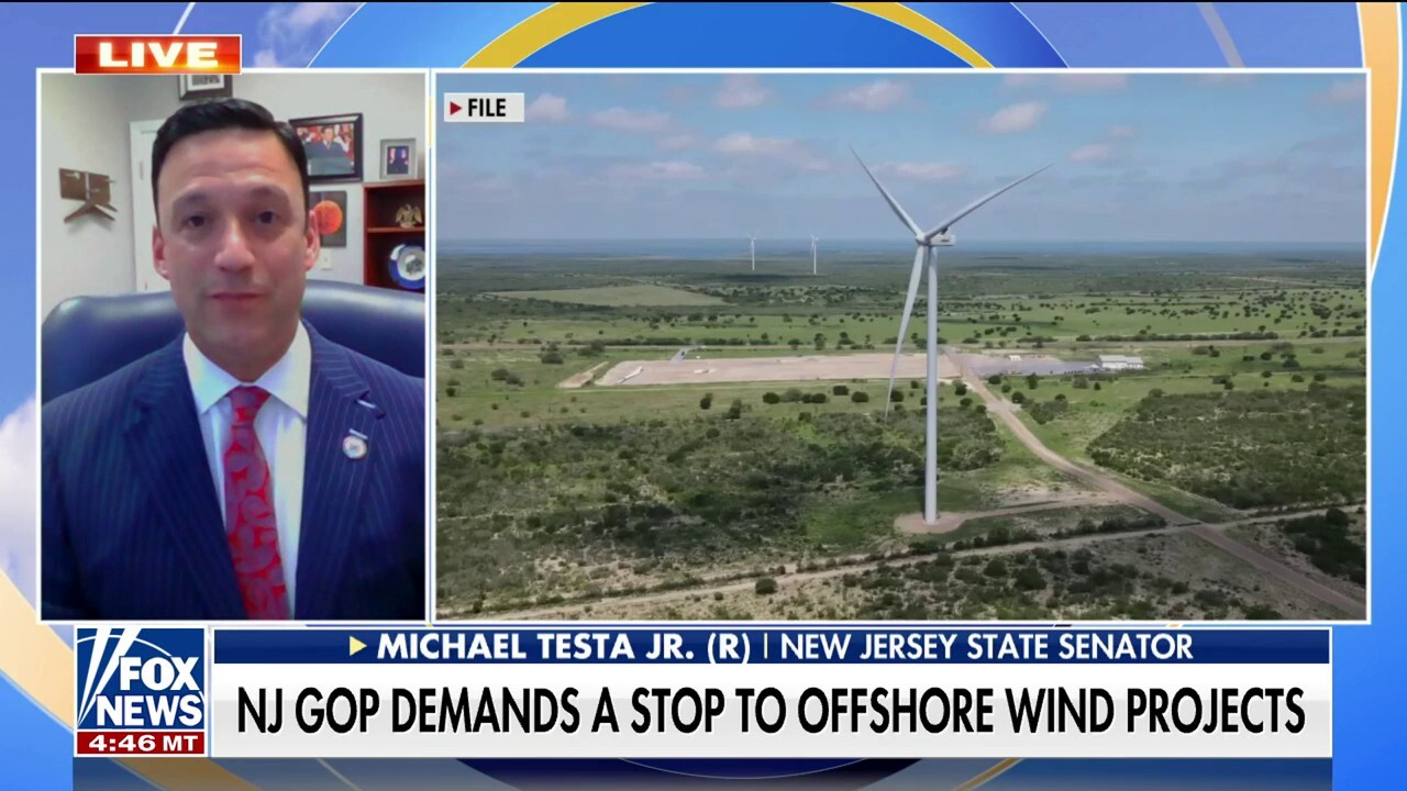 New Jersey lawmakers pushing to pause wind farm projects due to spike in whale deaths