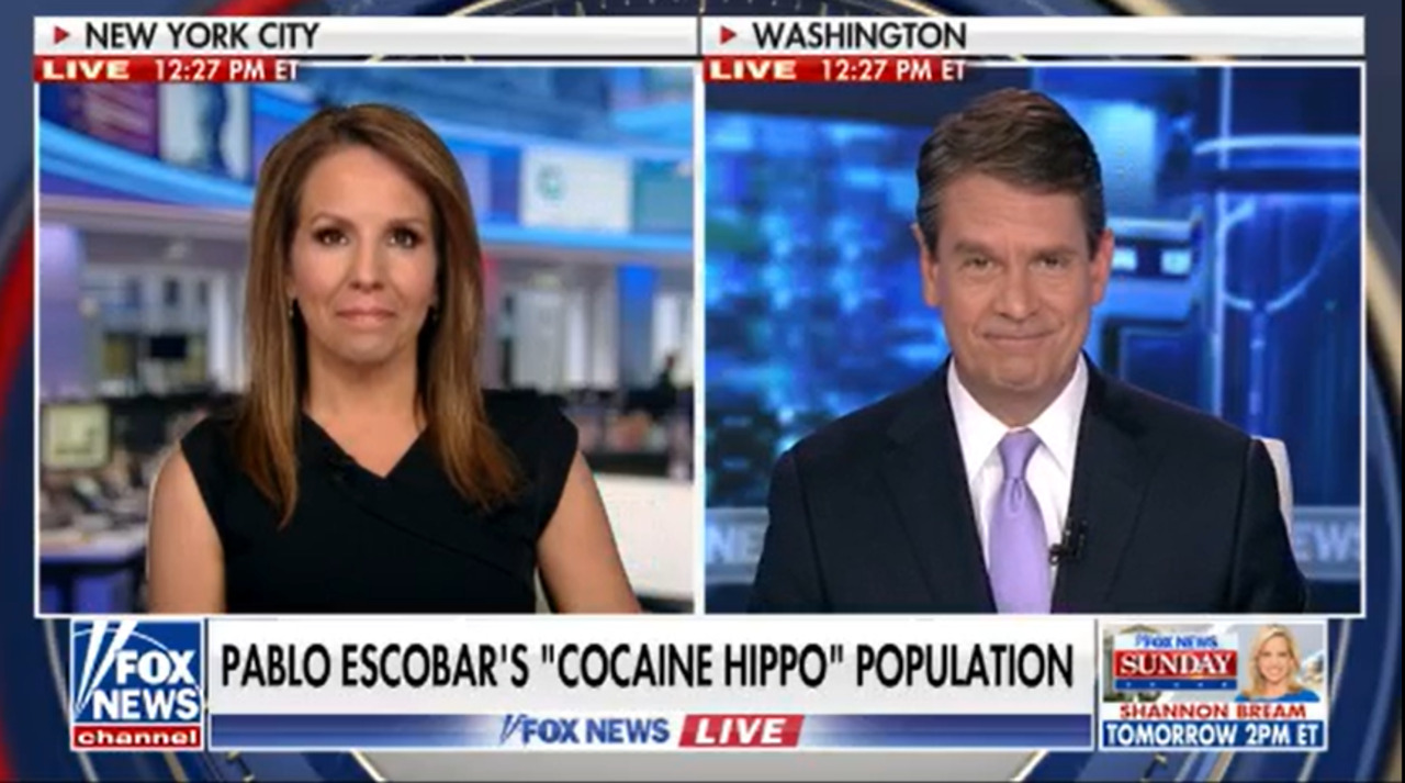 Fox Nation takes a deep dive into Pablo Escobar s cocaine hippo population in new special