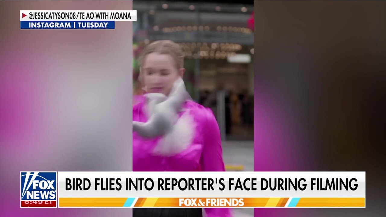 A bird flew directly into a reporter's face while she was filming a segment, leaving her face slightly bloodied but otherwise unharmed.
