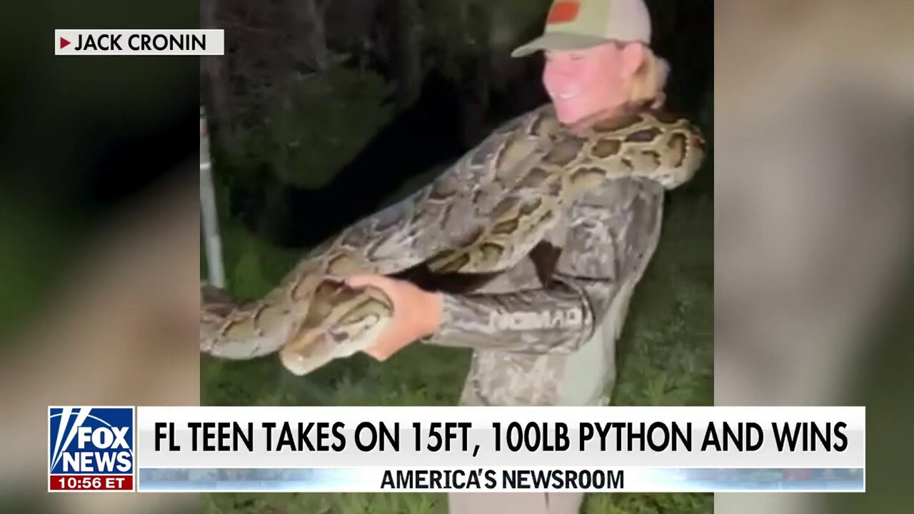 Florida teen wrangles 100 pound python: ‘A true beast’