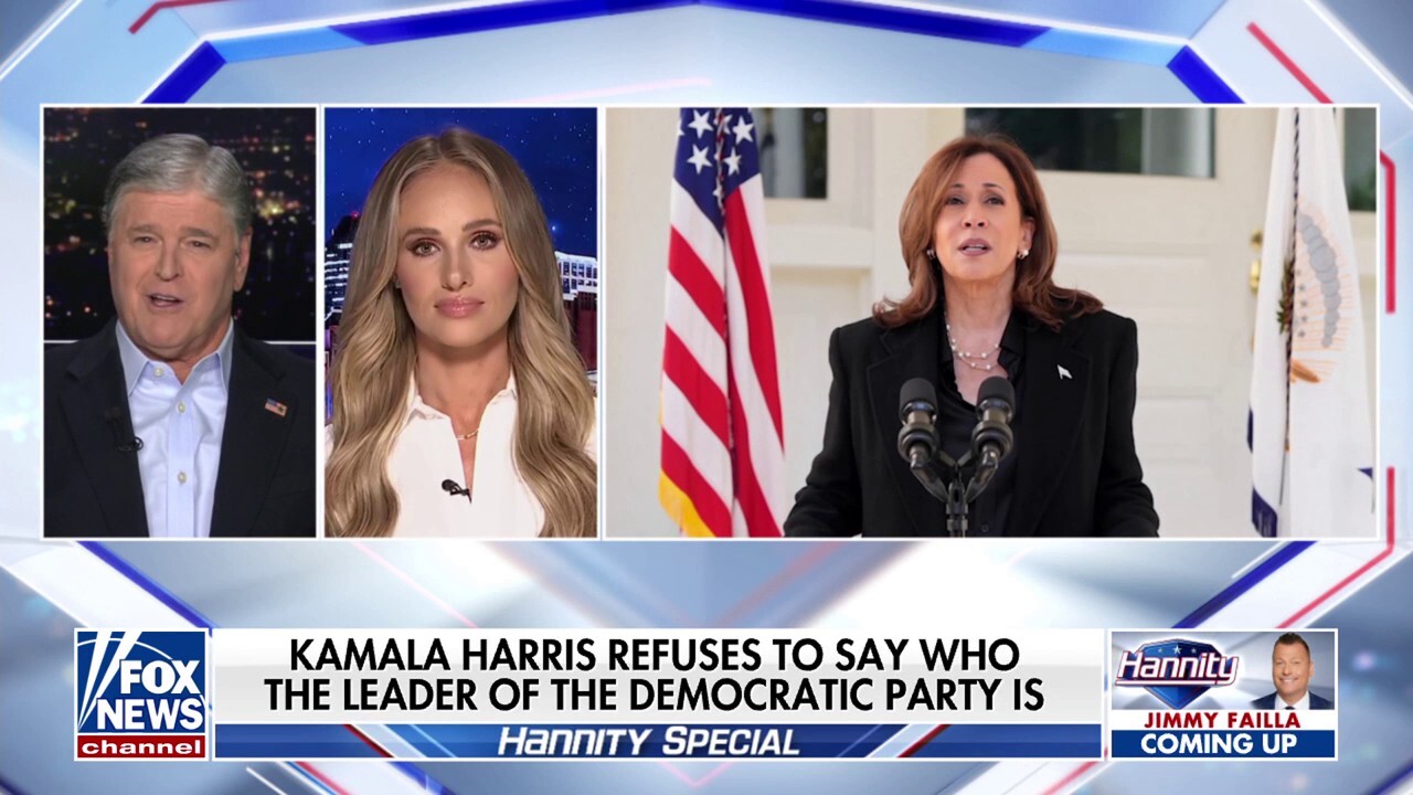 Kamala Harris has ‘no future,’ refuses to lead the Democratic Party: Tomi Lahren